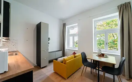 Pronájem bytu 1+kk 20 m²