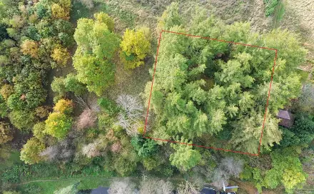 Prodej lesa 986 m², Kunžatecká, Strmilov, okres Jindřichův Hradec