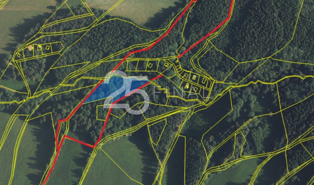 Prodej lesa 34 594 m², Bernartice – náhled fotky 5