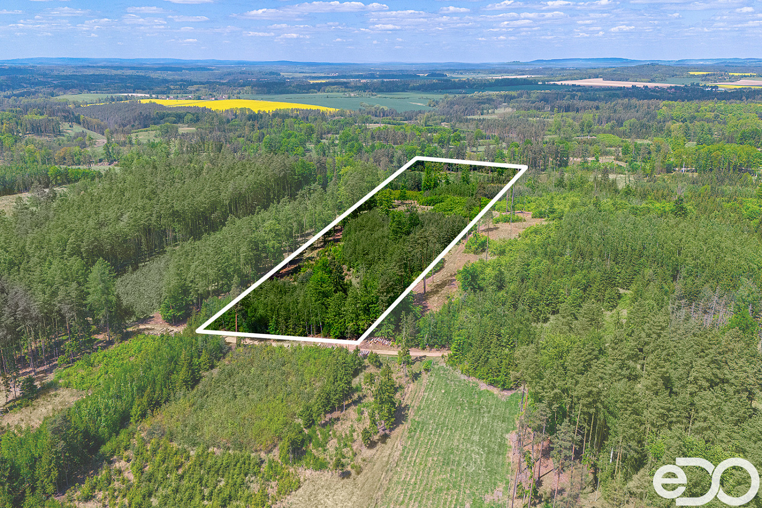 Prodej lesa 79 500 m²