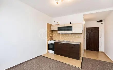 Prodej bytu 1+kk 19 m², Petrohradská, Tábor
