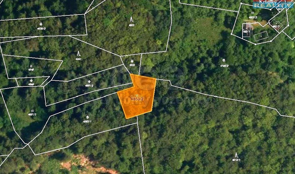 Prodej lesa 3 244 m², Halenkov – náhled fotky 3
