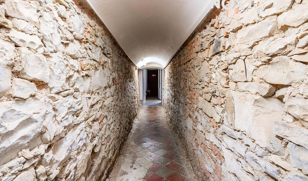 Prodej domu 287 m² s pozemkem 300 m², Polička – náhled fotky 9