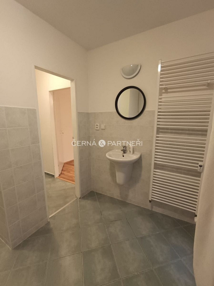 Pronájem bytu 1+1 47 m² — photo 4