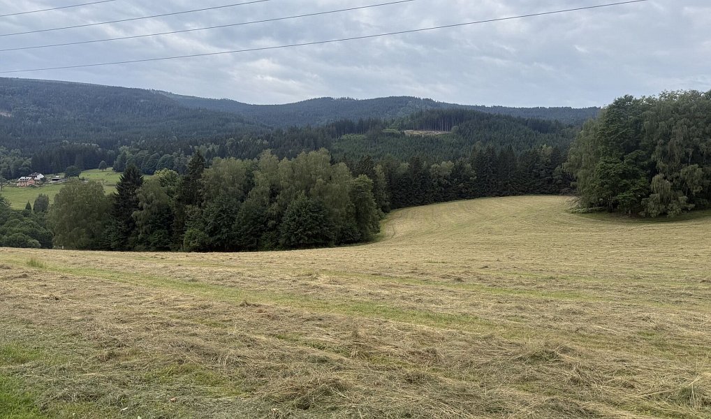 Prodej louky 84 928 m², Hamry – náhled fotky 11