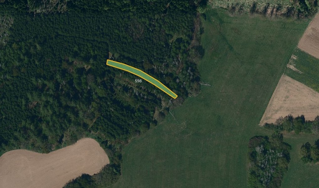 Prodej pole 11 075 m², Radkov – náhled fotky 3