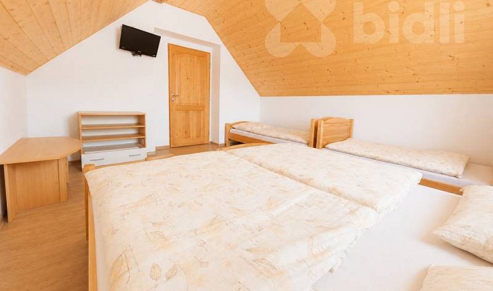 Prodej ubytovacího objektu 600 m², Stožec – náhled fotky 8
