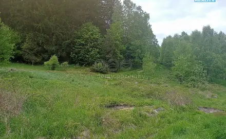 Prodej louky 7 967 m², Kořenov - Rejdice, okres Jablonec nad Nisou