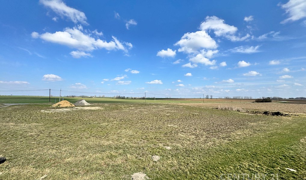 Prodej stavebního pozemku 5 000 m², Opava – náhled fotky 9