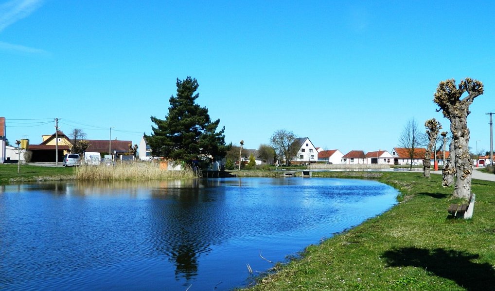 Prodej domu 455 m² s pozemkem 1 055 m², Zálší – náhled fotky 22