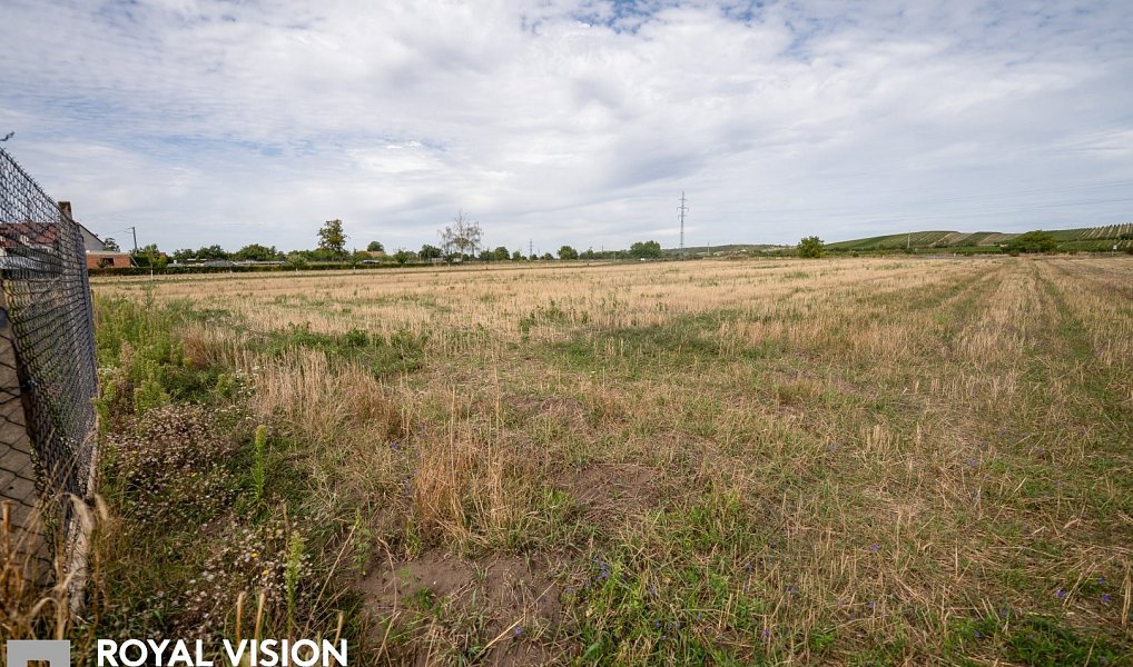 Prodej stavebního pozemku 2 035 m², Březí – náhled fotky 6