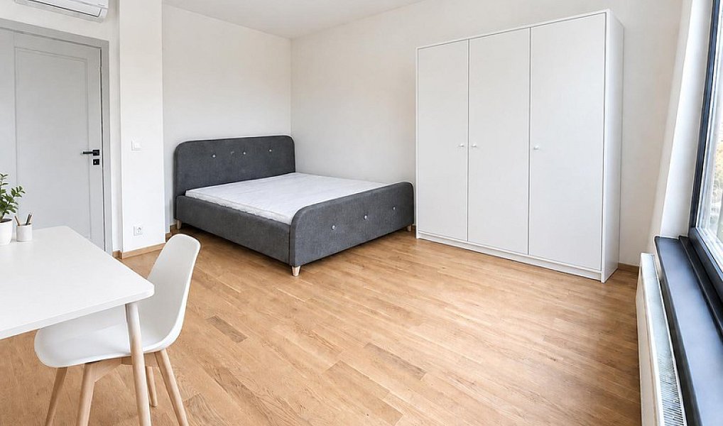 Pronájem bytu 2+kk 56 m², Praha – náhled fotky 6