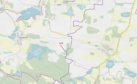 Dražba lesa 1 116 m², Kadov