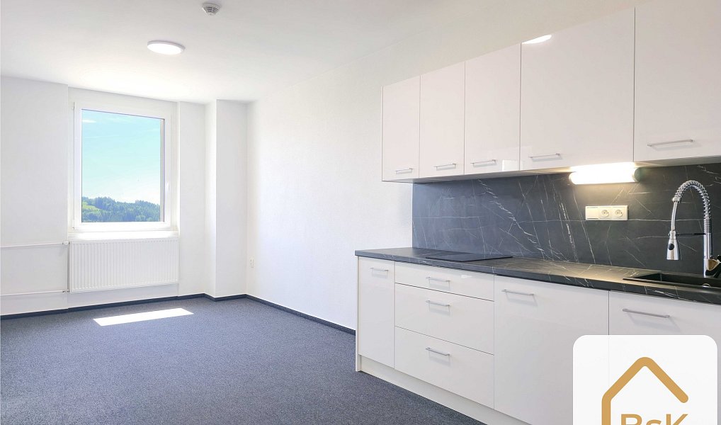 Prodej ubytovacího objektu 1 880 m², Zlatá Olešnice – náhled fotky 12