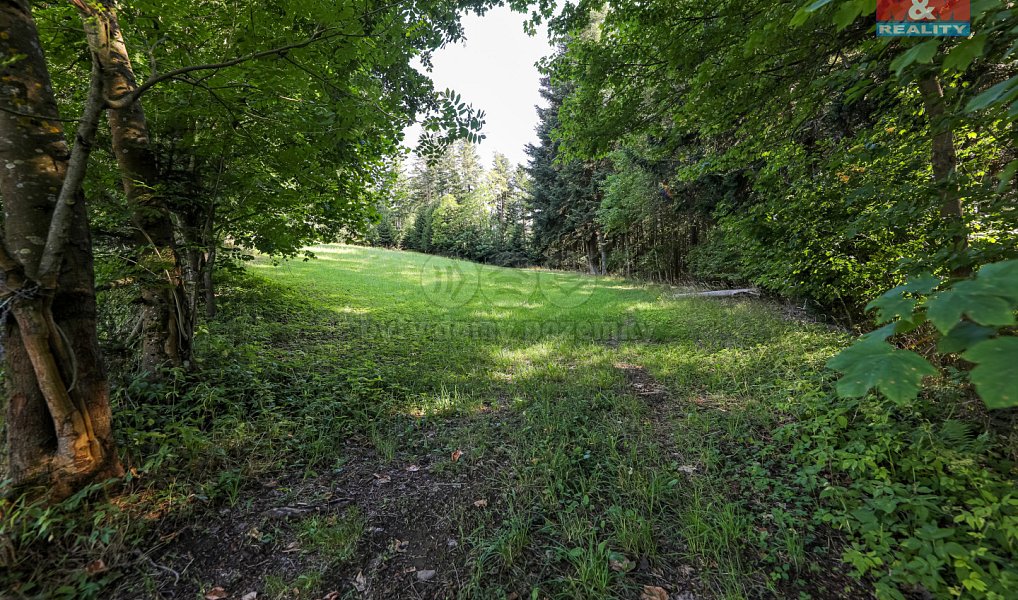 Prodej lesa 15 707 m², Petrovice u Sušice – náhled fotky 5