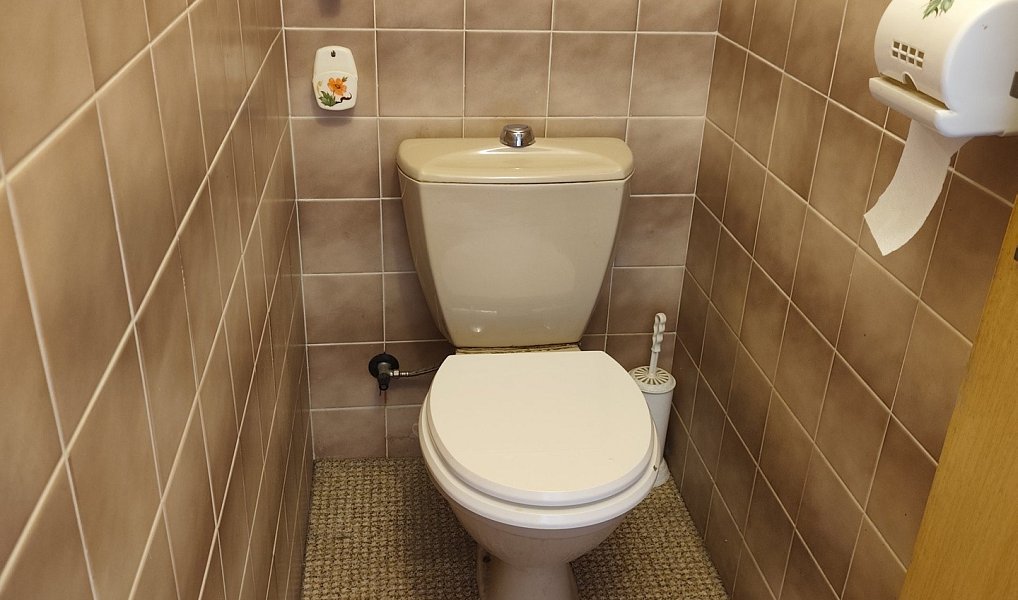 Pronájem domu 309 m² s pozemkem 152 m², Pardubice – náhled fotky 22