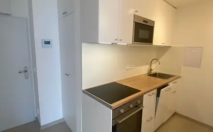 Pronájem bytu 2+kk 45 m², Malešická, Praha 3 - Žižkov