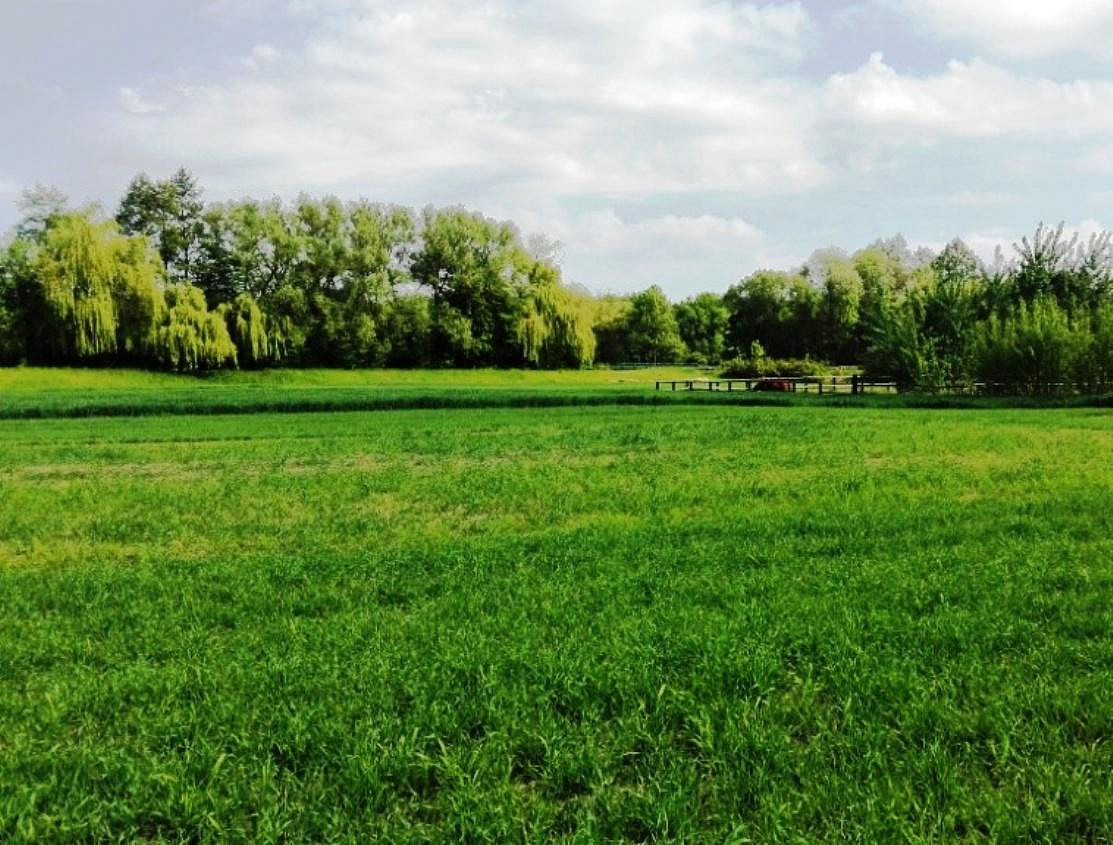 Prodej komerčního pozemku 2 500 m² – fotografie 2