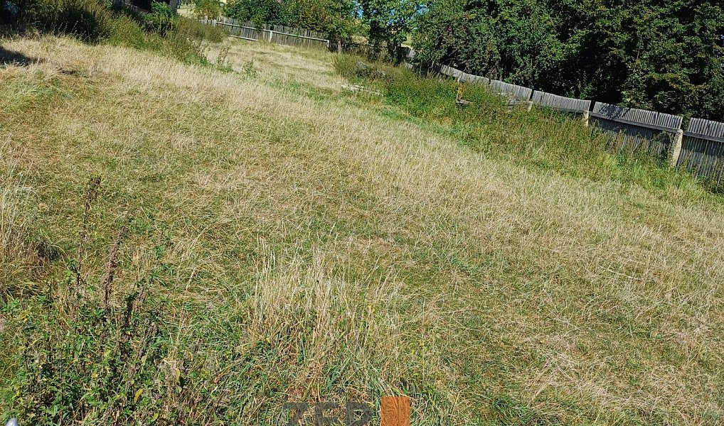 Prodej zahrady 1 575 m², Krasonice – náhled fotky 7