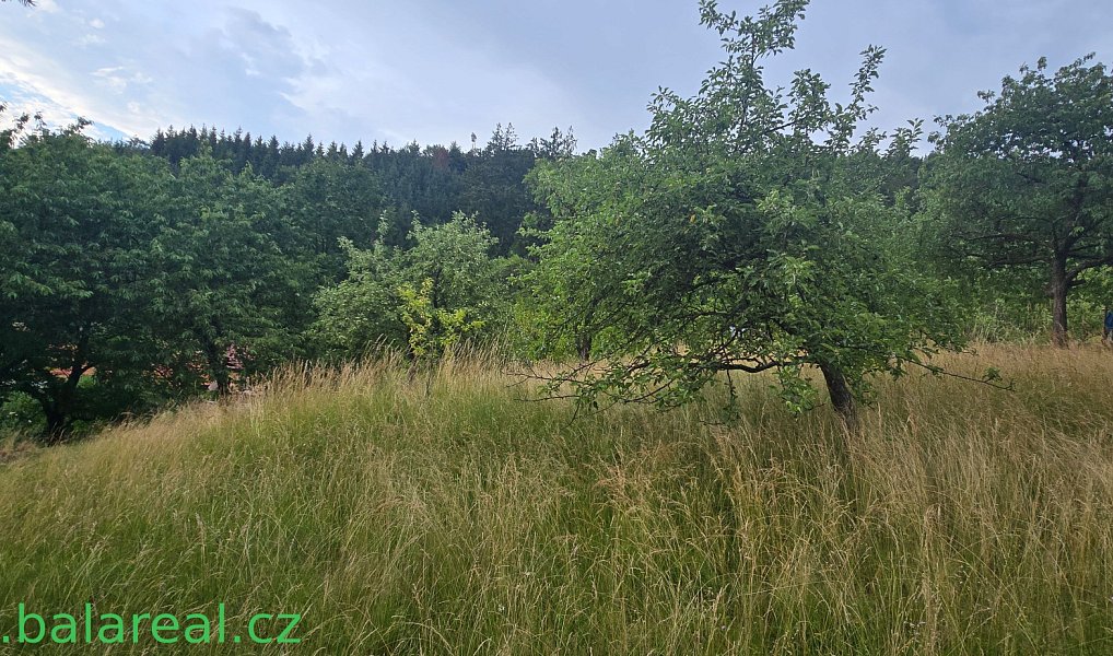 Prodej domu 93 m² s pozemkem 1 667 m², Šošůvka – náhled fotky 16