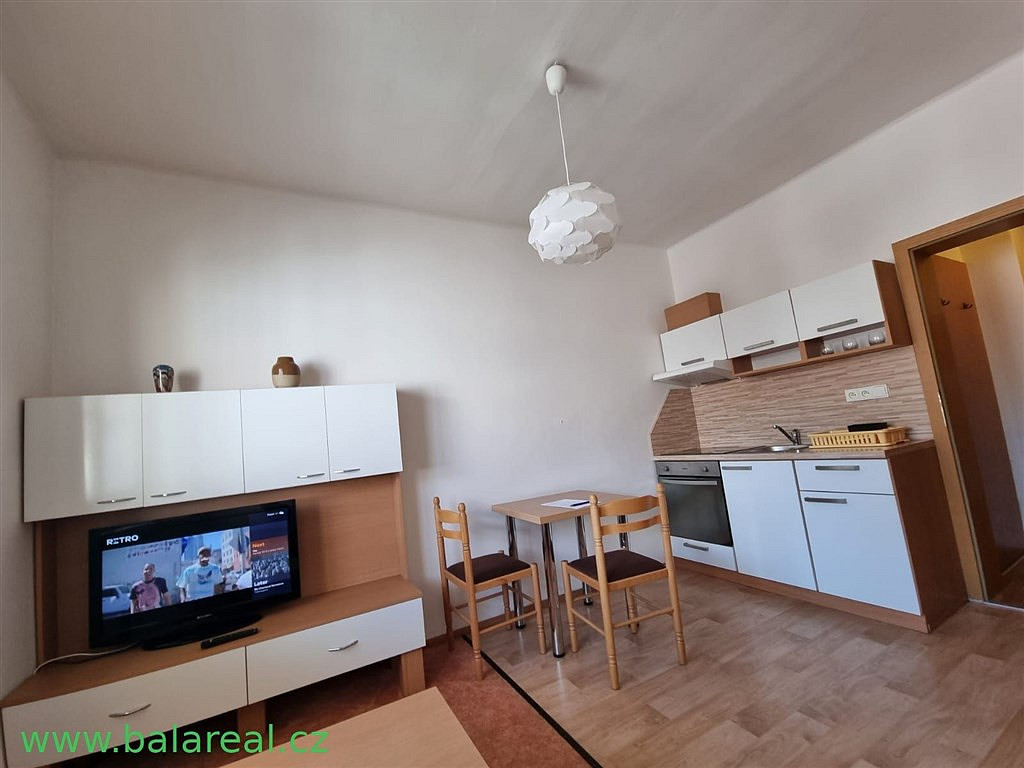 Pronájem bytu 1+1 32 m² — photo 2
