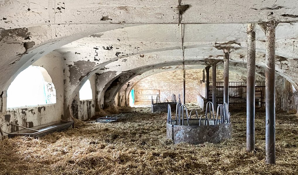 Prodej zemědělského objektu 5 021 m², Jankov – náhled fotky 9