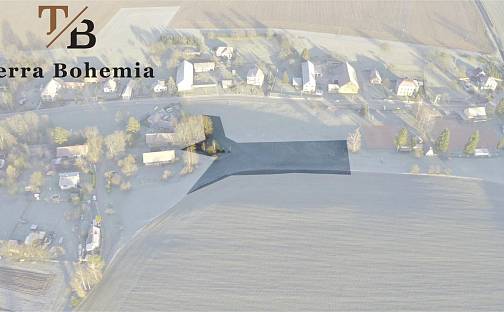 Prodej stavebního pozemku 3 854 m², Lupenice, okres Rychnov nad Kněžnou