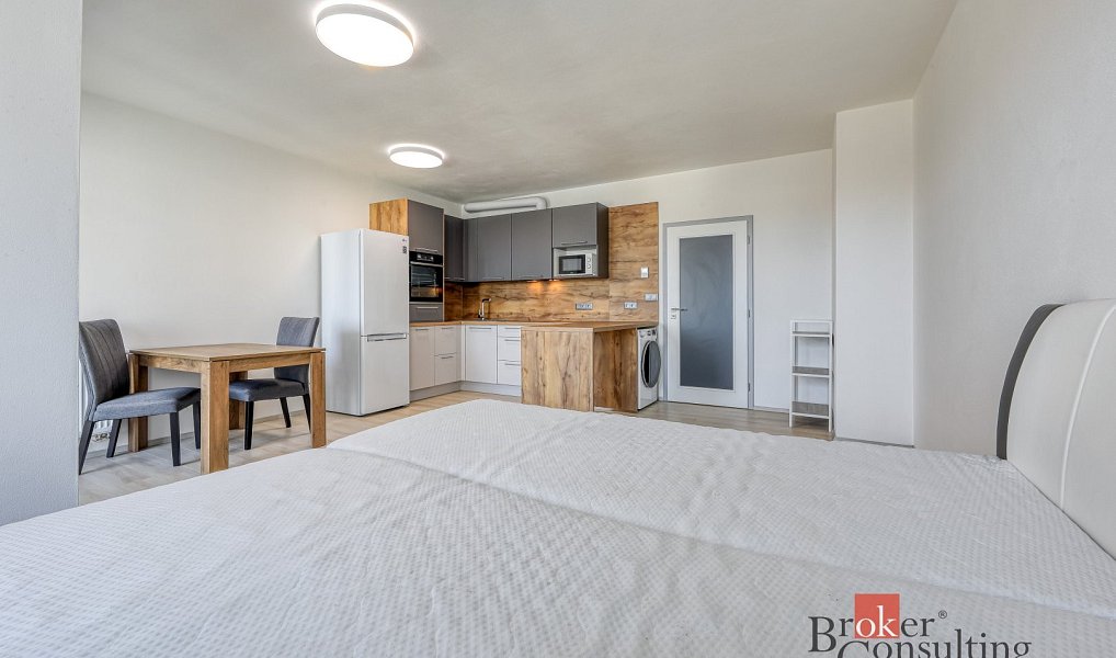 Pronájem bytu 1+kk 36 m², Plzeň – náhled fotky 5