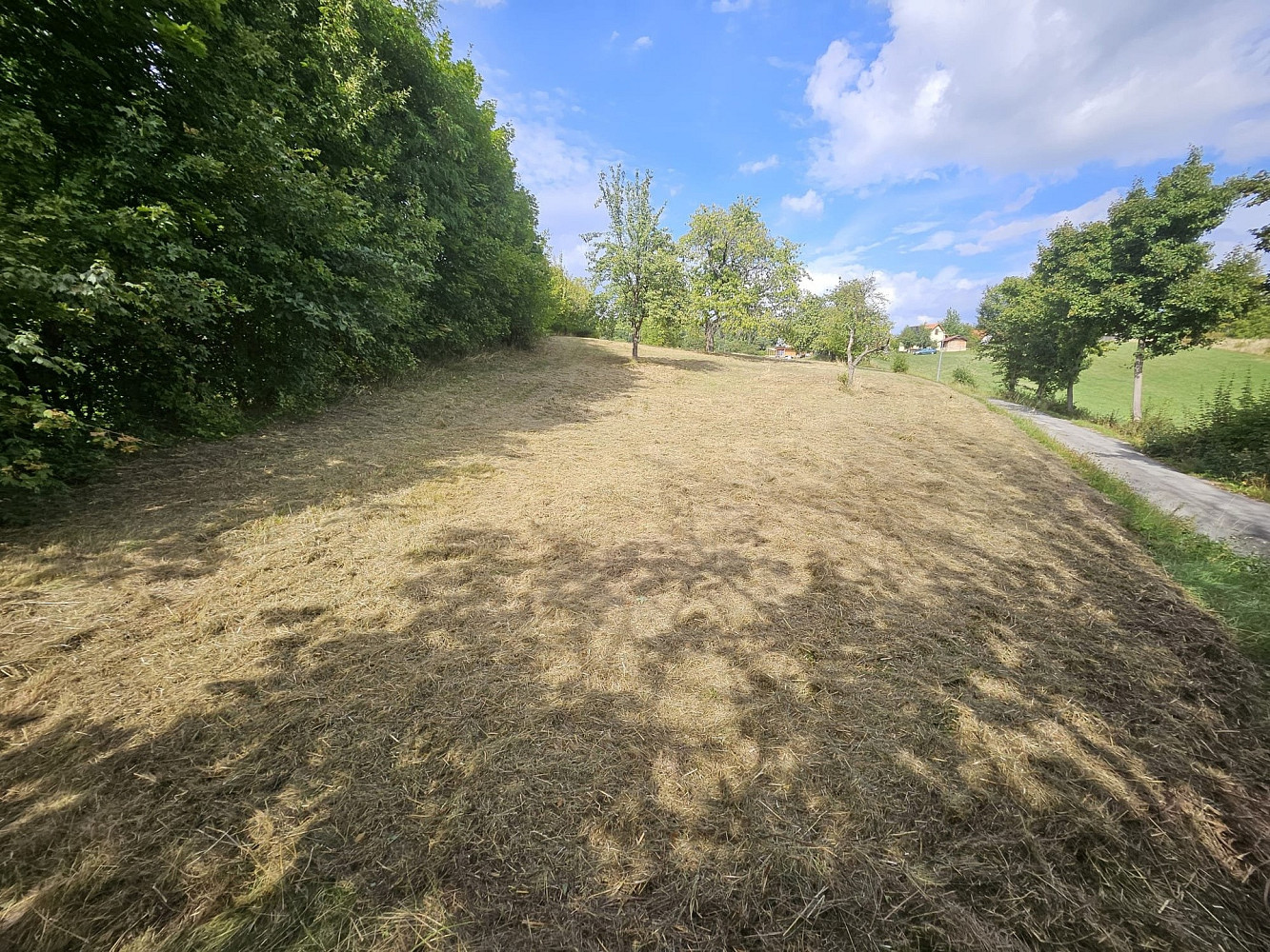 Prodej pole 2 632 m² – fotografie 2