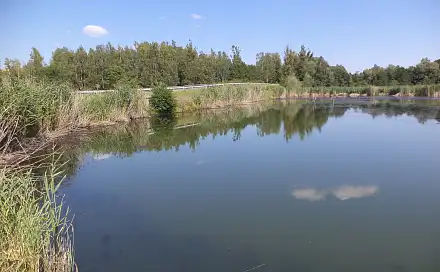 Prodej pozemku 1 274 m², Stonava, okres Karviná