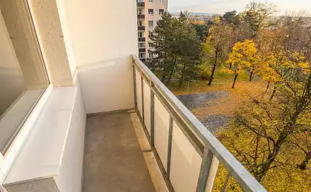 Prodej bytu 3+1 60 m², Pionýrská, Olomouc - Nová Ulice