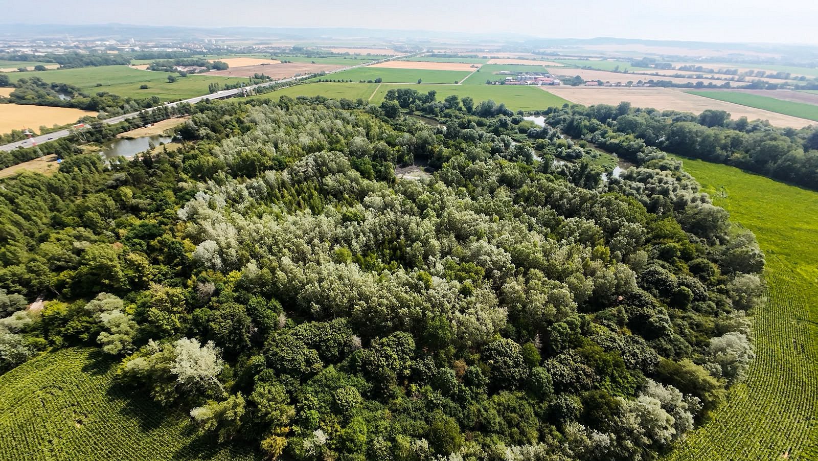 Prodej komerčního pozemku 46 123 m² – fotografie 2
