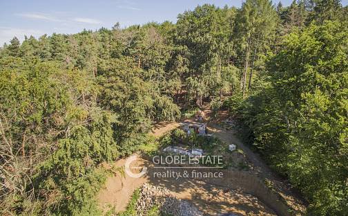 Prodej chaty/chalupy 20 m² s pozemkem 11 807 m², Řehenice - Babice, okres Benešov