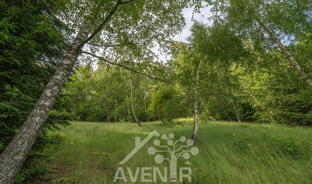 Prodej domu 168 m² s pozemkem 34 525 m², Mosty u Jablunkova – náhled fotky 39