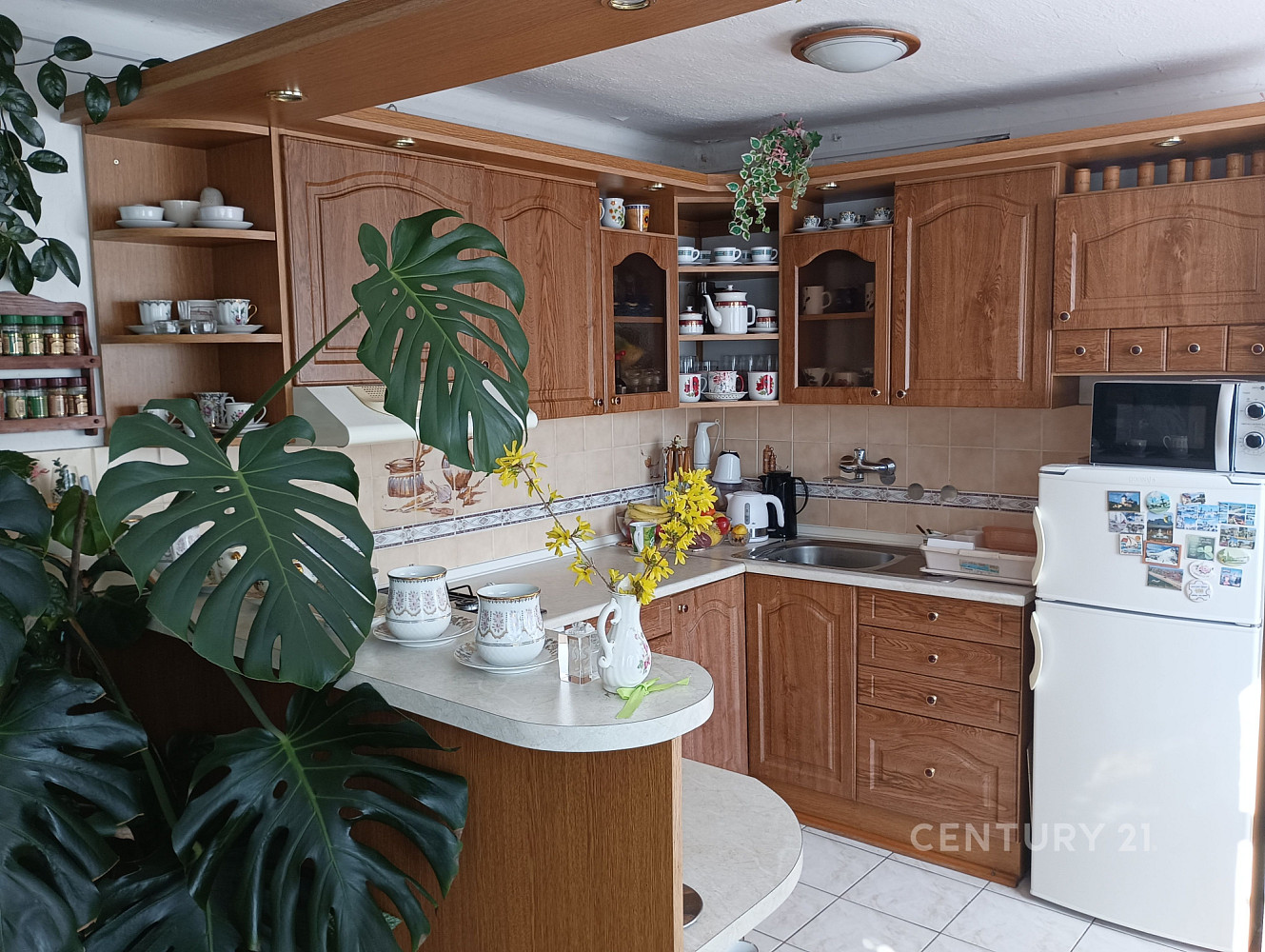 Prodej domu 220 m² s pozemkem 539 m² — photo 2