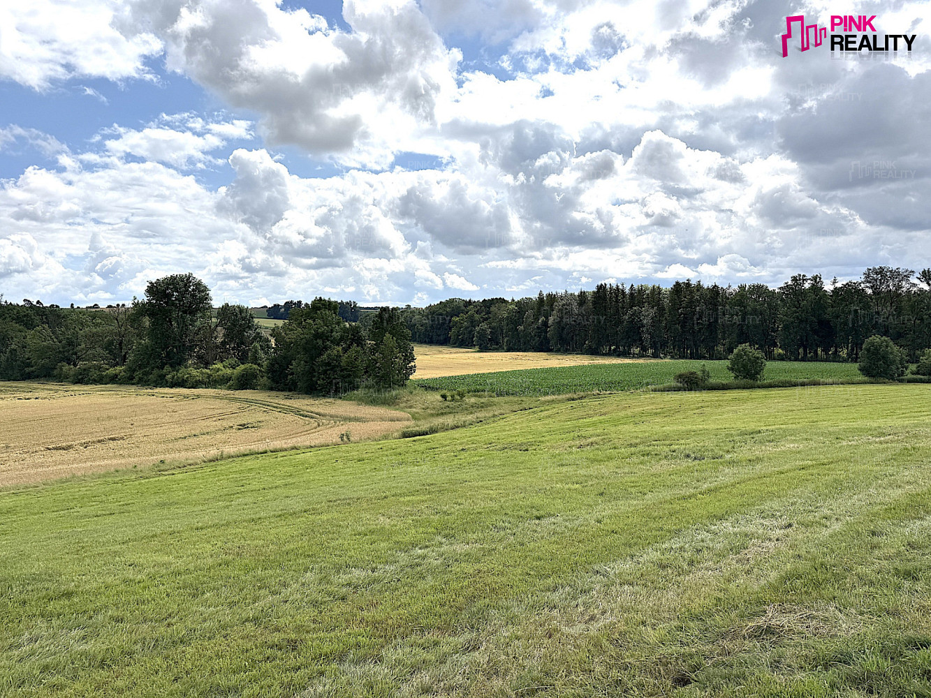 Prodej louky 16 663 m² – fotografie 5