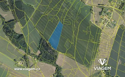 Prodej pole 4 864 m², Pustá Kamenice, okres Svitavy