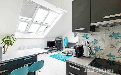 Pronájem bytu 2+kk 49 m², Sokolská, Praha 2 - Nové Město