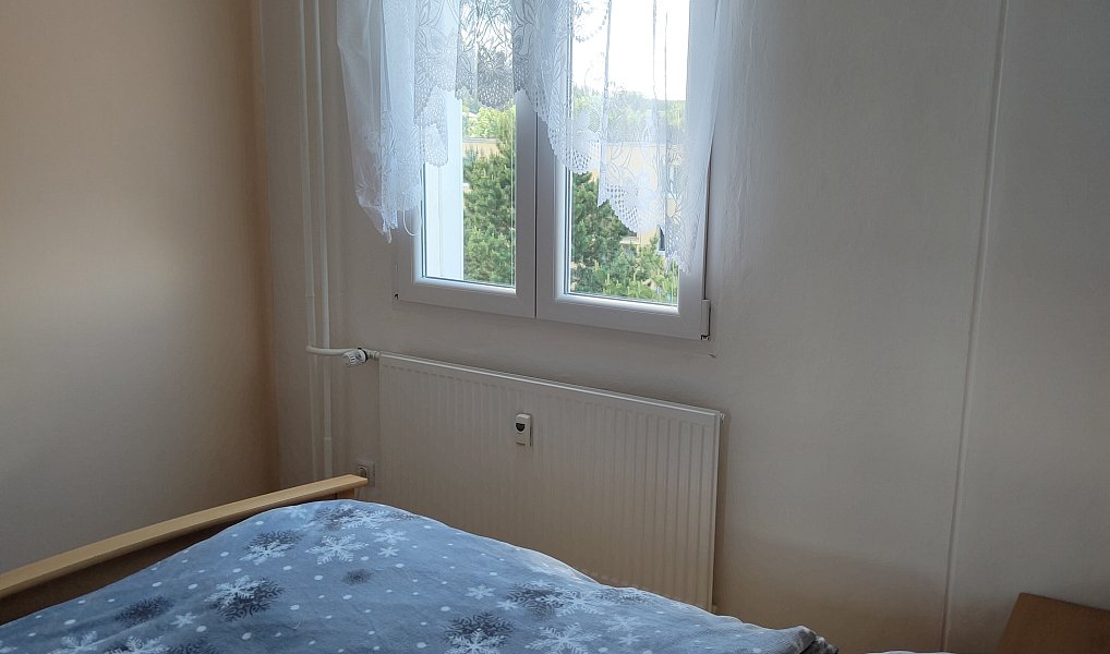 Pronájem bytu 3+1 67 m², Planá – náhled fotky 9
