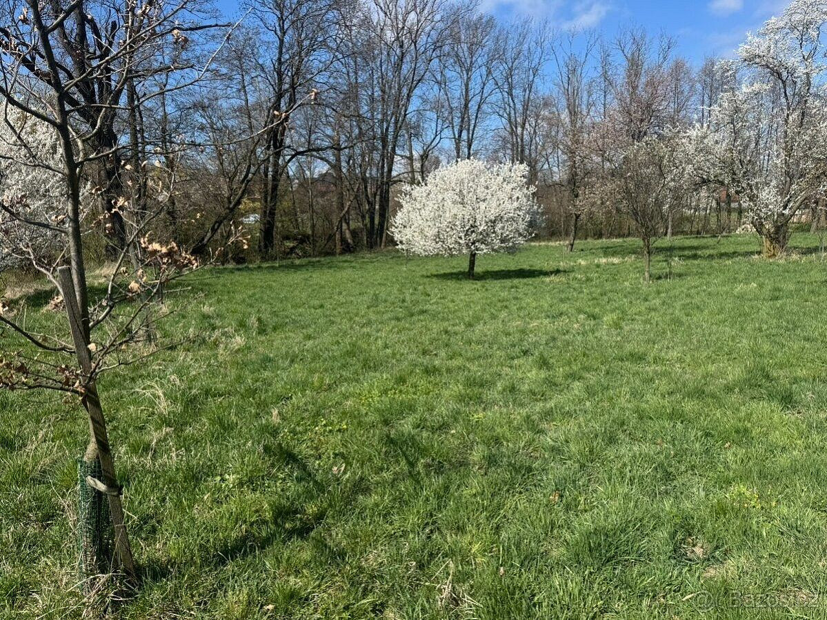 Prodej zahrady 500 m² – fotografie 2
