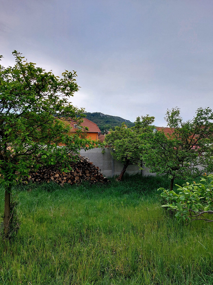 Fotka 7 z 13