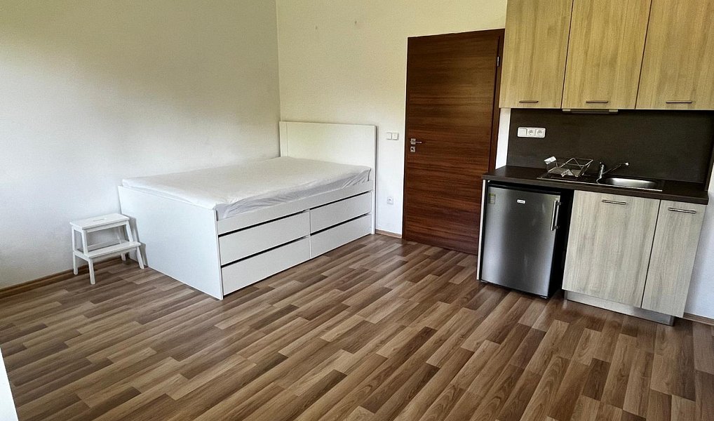Pronájem bytu 1+kk 31 m², Jihlava – náhled fotky 3