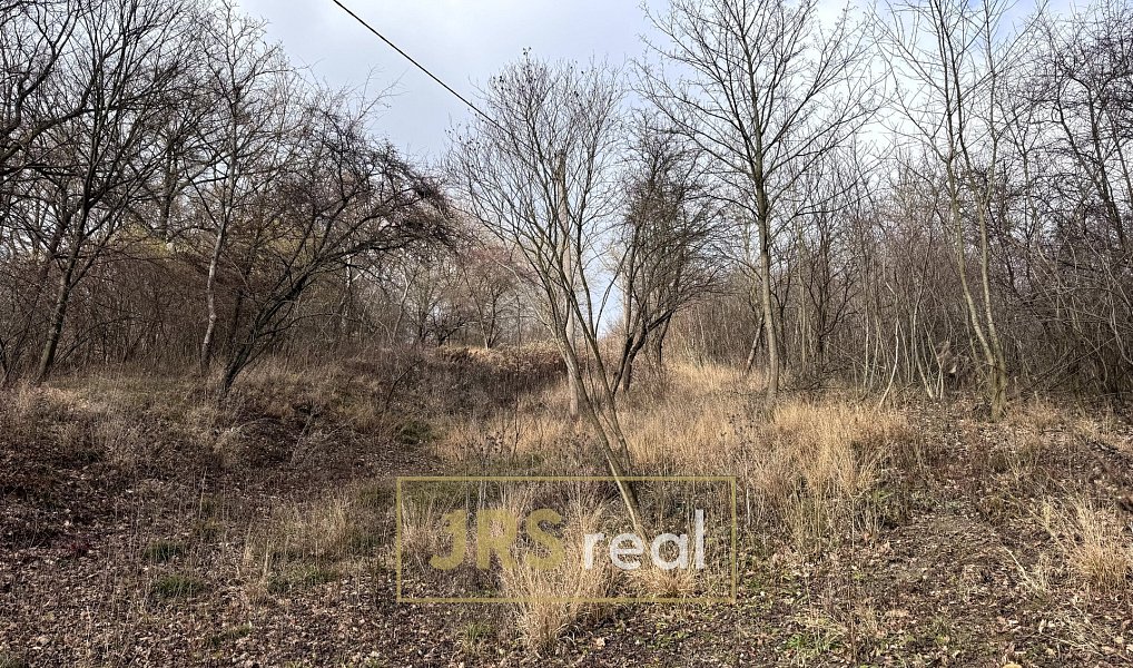 Prodej zahrady 8 821 m², Kroměříž – náhled fotky 10