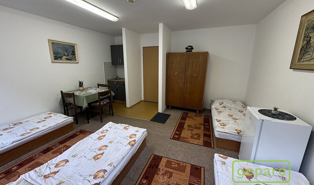 Prodej ubytovacího objektu 800 m², Český Krumlov – náhled fotky 17