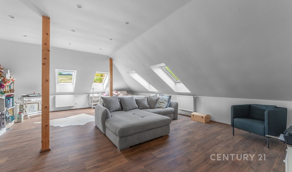 Prodej domu 340 m² s pozemkem 1 893 m², Družec – náhled fotky 13