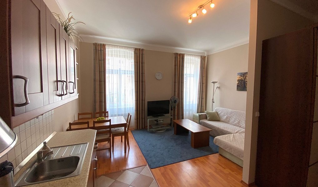Prodej bytu 2+kk 59 m², Karlovy Vary – náhled fotky 5