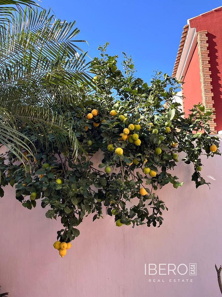 Casa 5+kk – Pilar de la Horadada, Torre de la Horadada - Vista 5