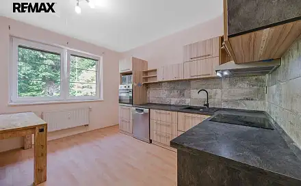 Pronájem bytu 2+1 67 m², Hlavní, Aš, okres Cheb