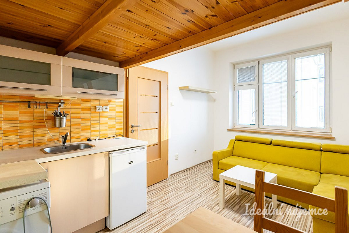 Pronájem bytu 1+kk 20 m² – fotografie 5