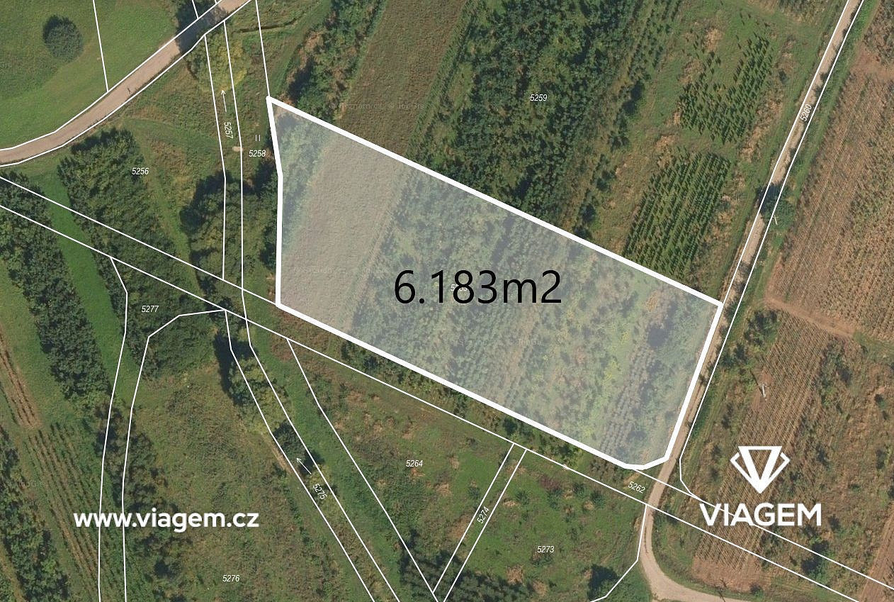 Prodej zahrady 6 183 m², Třebařov